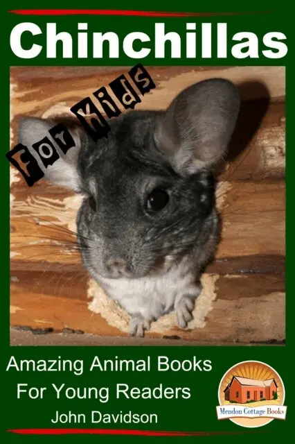 Chinchillas - For Kids - Amazing Animal Books For Young Readers