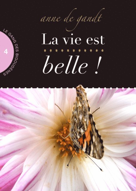 Anne de Gandt - La vie est belle ! (Saison 4), E-bok