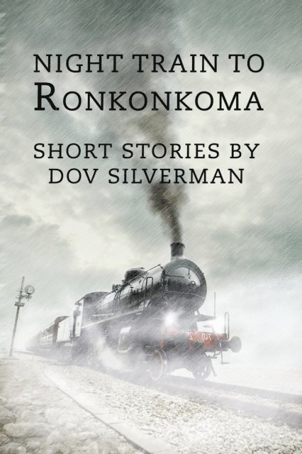 Dov Silverman - Night Train to RonKonKoma, E-bok