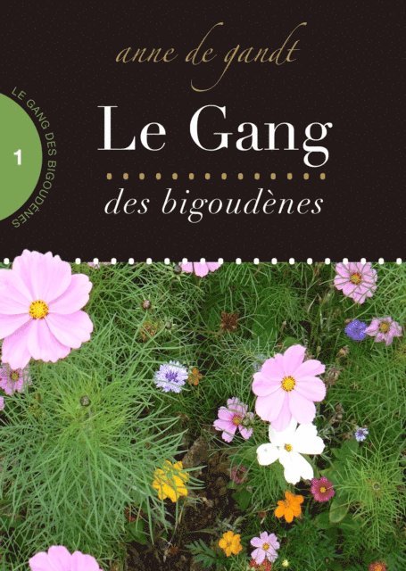 Anne de Gandt - Le Gang des bigoudenes (Saison 1), E-bok
