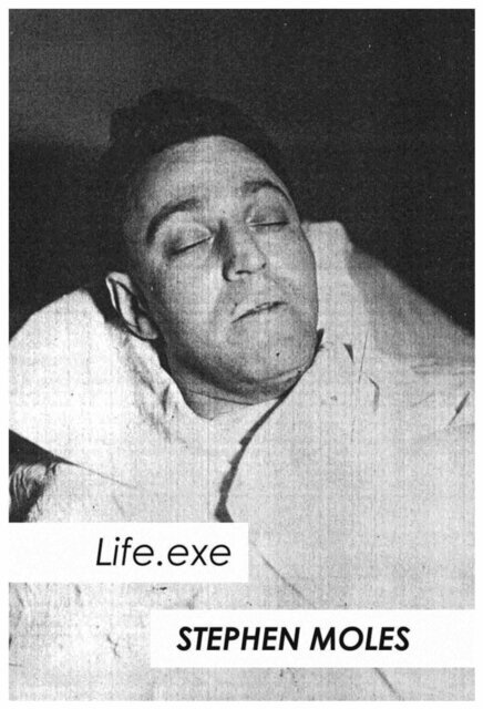 Stephen Moles - Life.exe, E-bok