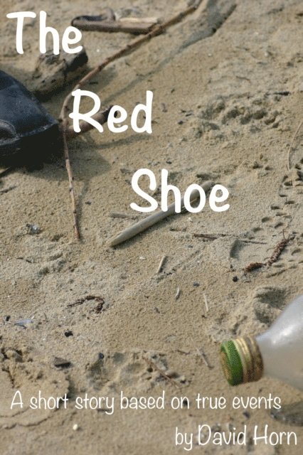 David Horn - Red Shoe, E-bok