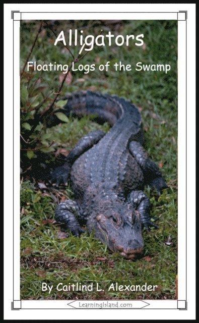 Caitlind L. Alexander - Alligators: Floating Logs of the Swamp, E-bok. Tillgänglighet: Lägg i varukorg