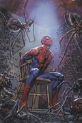 Spider-man's Tangled Web Omnibus