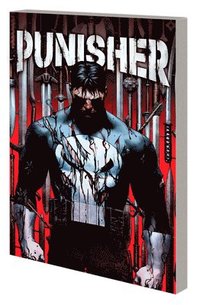 Punisher Vol. 1