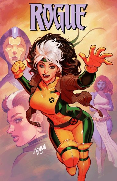 Erica Schultz - Rogue: Shadows of the Past, Häftad