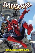 Spider-Man: Brand New Day Omnibus Vol. 3 Steve McNiven Cover