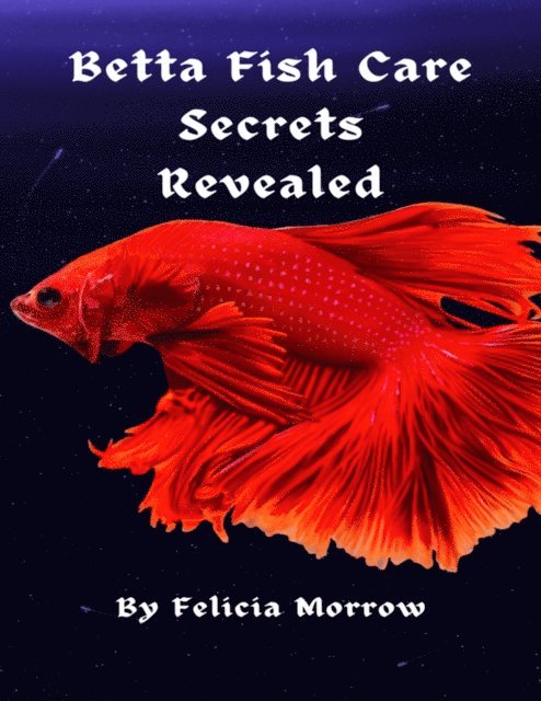 Betta Fish Care Secrets Revealed