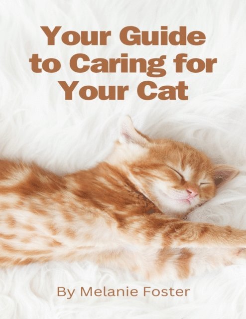 Your Guide to Caring for Your Cat