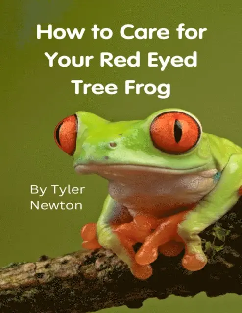 Tyler Newton - How to Care for Your Red Eyed Tree Frog, E-bok. Tillgänglighet: Lägg i varukorg
