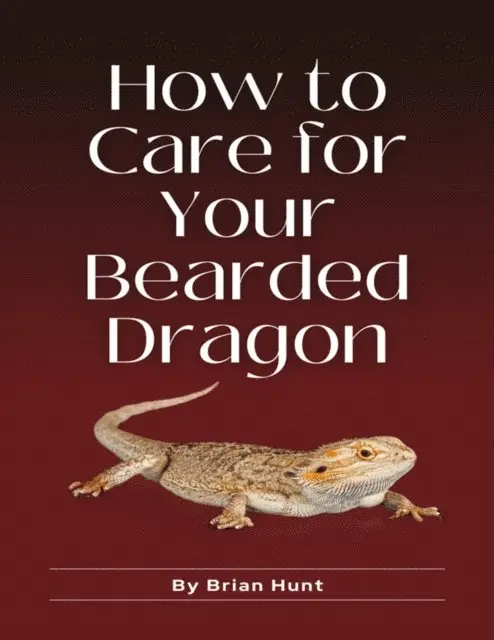 Brian Hunt - How to Care for Your Bearded Dragon, E-bok. Tillgänglighet: Lägg i varukorg