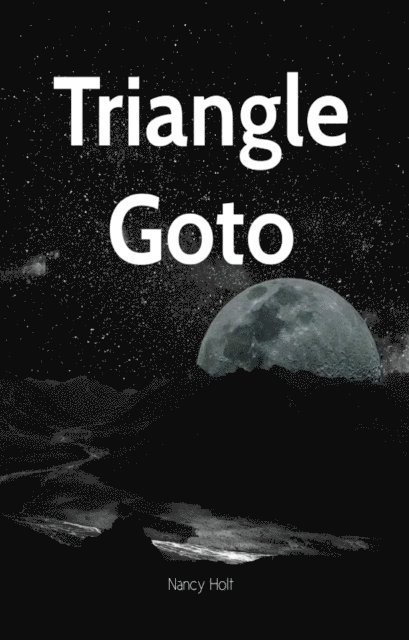 Nancy Holt - Triangle Goto, E-bok