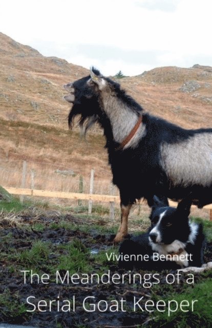 Vivienne Bennett - Meanderings of a Serial Goat Keeper, E-bok