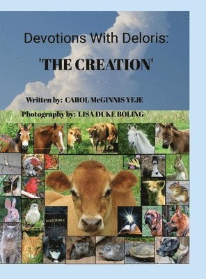 Carol McGinnis Yeje - Devotions with Deloris, Inbunden. Tillgänglighet: Lägg i varukorg