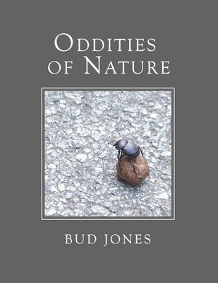 Bud Jones - Oddities of Nature, Häftad. Tillgänglighet: Lägg i varukorg