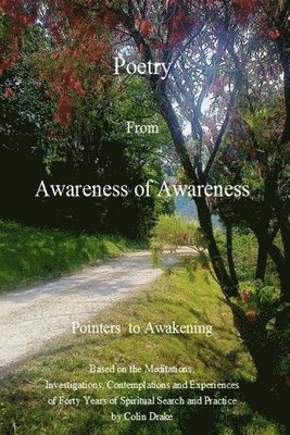 Colin Drake - Poetry From Awareness of Awareness, Häftad