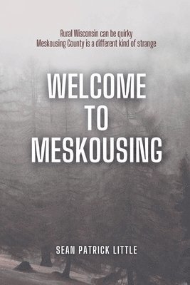 Sean Little - Welcome to Meskousing, Häftad. Tillgänglighet: Lägg i varukorg