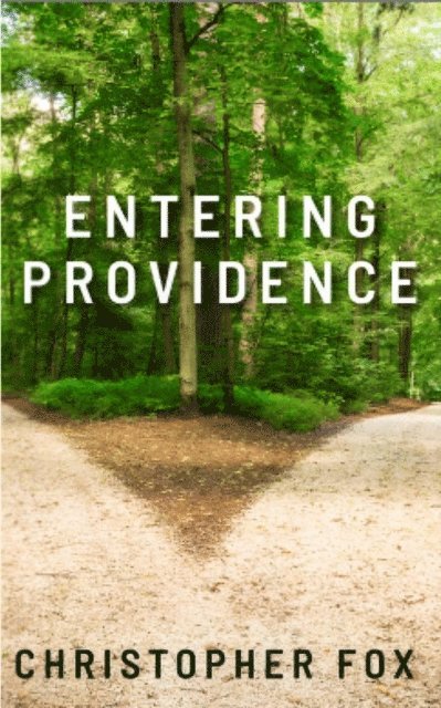 Christopher Fox - Entering Providence, E-bok