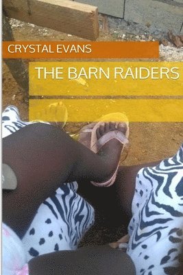 Crystal Evans - Barn Raiders, Häftad. Tillgänglighet: Lägg i varukorg