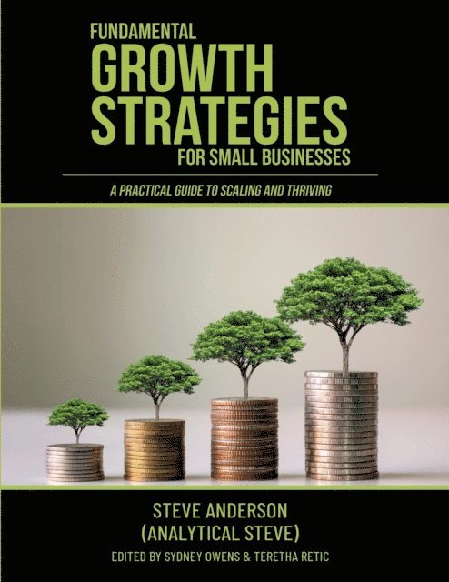 Steve Anderson, Teretha Retic, Sydney Owens - Fundamental Growth Strategies for Small Businesses, E-bok