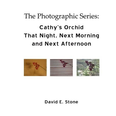 David E Stone - Cathy's Orchid - That Night, Next Morning and Next Afternoon, Häftad. Tillgänglighet: Lägg i varukorg