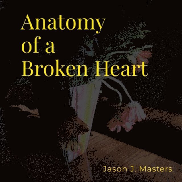 Jason Masters - Anatomy of a Broken Heart, E-bok
