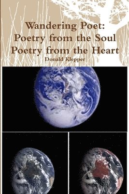 Donald Klepper - Wandering Poet: Poetry from the Soul Poetry from the Heart, Häftad. Tillgänglighet: Lägg i varukorg