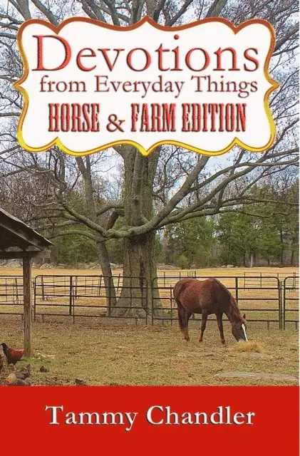 Tammy Chandler - Devotions from Everyday Things: Horse & Farm Edition, E-bok. Tillgänglighet: Lägg i varukorg