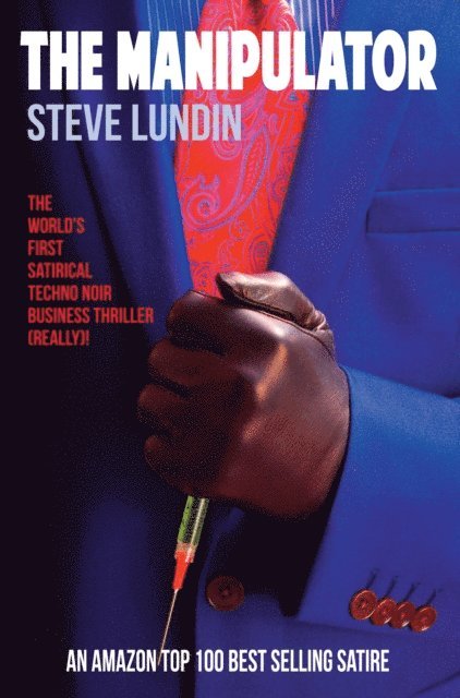 Steve Lundin - Manipulator: A Private Life in Public Relations, E-bok