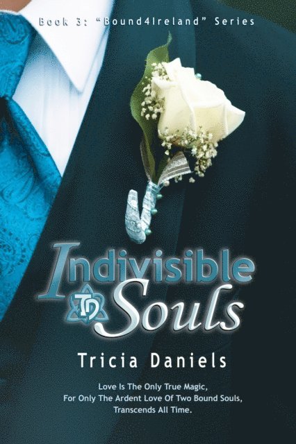 Tricia Daniels - Indivisible Souls: Book 3 of the Bound4Ireland Series, E-bok