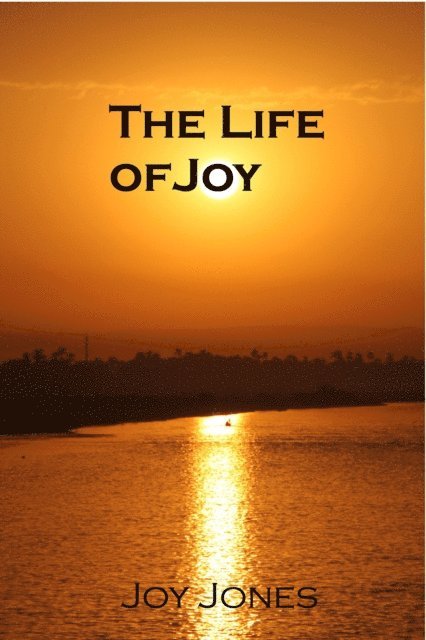 Joy Jones - Life of Joy, E-bok