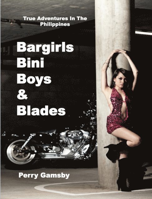 Perry Gamsby - Bargirls, Bini Boys & Blades, E-bok