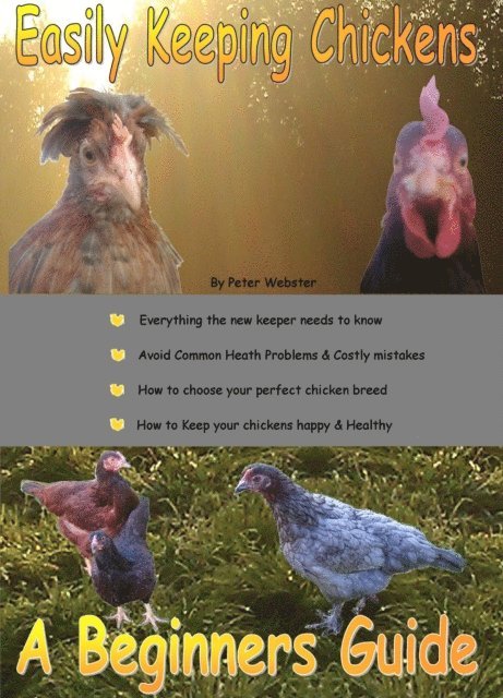 Peter Webster - Easily Keeping Chickens (in your garden): A Beginner's Guide, E-bok