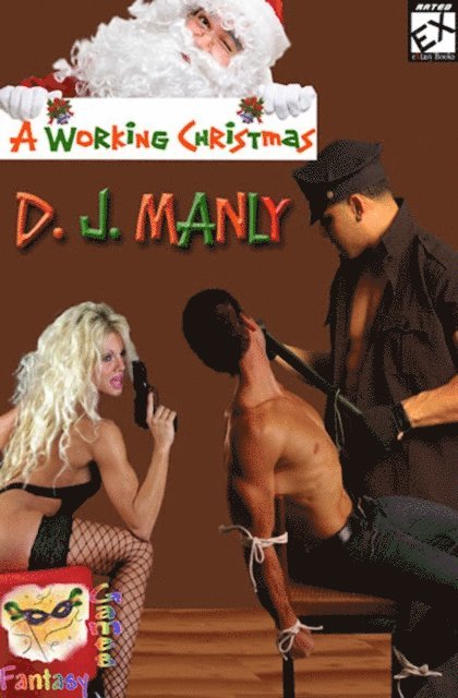 D.J. Manly - Working Christmas, E-bok