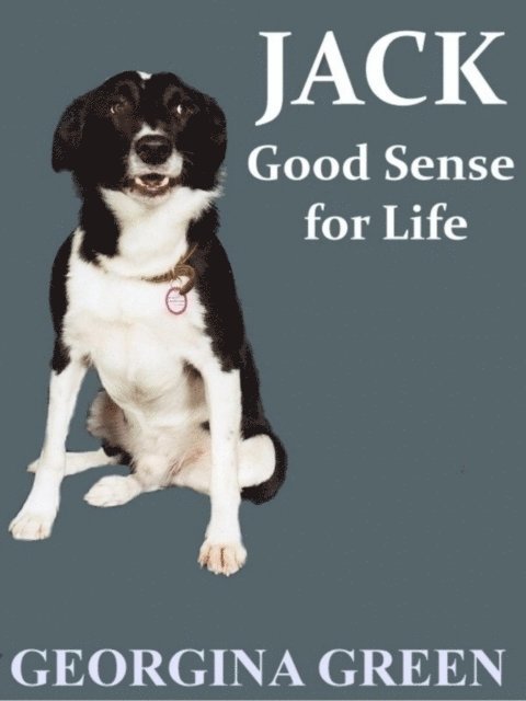 Georgina Green - Jack Good Sense for Life, E-bok