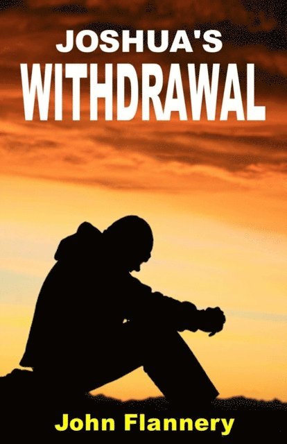 John Flannery - Joshua's Withdrawal, E-bok