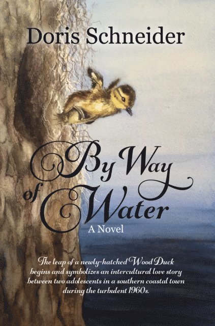 Doris Schneider - By Way of Water, E-bok