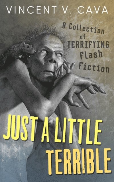 Vincent V. Cava - Just A Little Terrible, E-bok