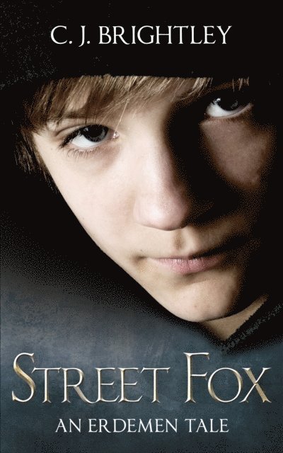 C. J. Brightley - Street Fox, E-bok