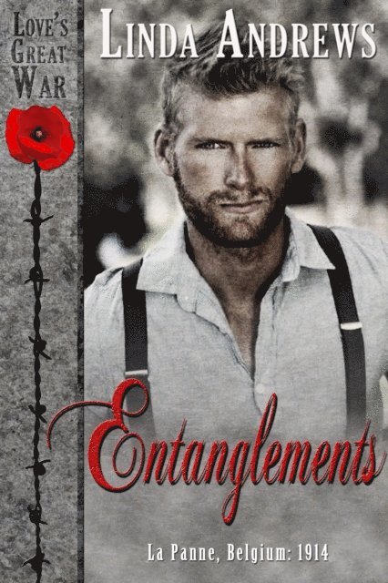 Linda Andrews - Entanglements (Historical Romance), E-bok