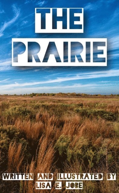 Lisa E. Jobe - Prairie, E-bok. Tillgänglighet: Lägg i varukorg