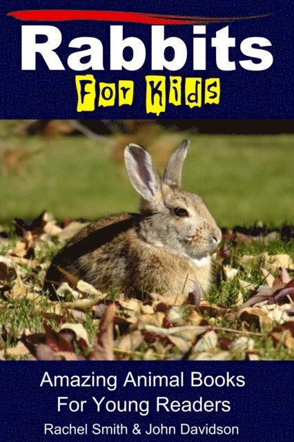 John Davidson, Rachel Smith - Rabbits For Kids - Amazing Animal Books For Young Readers, E-bok