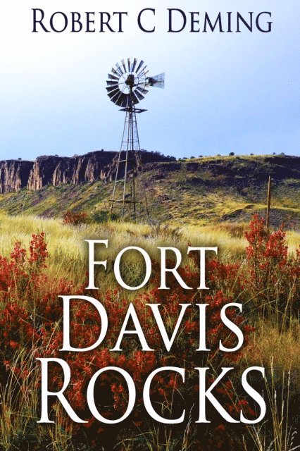 Robert Deming - Fort Davis Rocks, E-bok