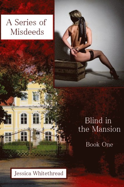 Jessica Whitethread - Blind in the Mansion Book One: A Series of Misdeeds, E-bok. Tillgänglighet: Lägg i varukorg