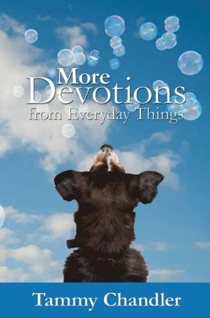 Tammy Chandler - More Devotions from Everyday Things, E-bok. Tillgänglighet: Lägg i varukorg