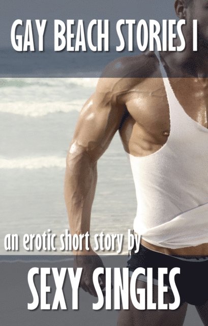 Sexy Singles - Gay Beach Stories I, E-bok