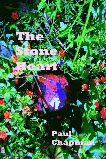 Paul Chapman - Stone Heart, E-bok
