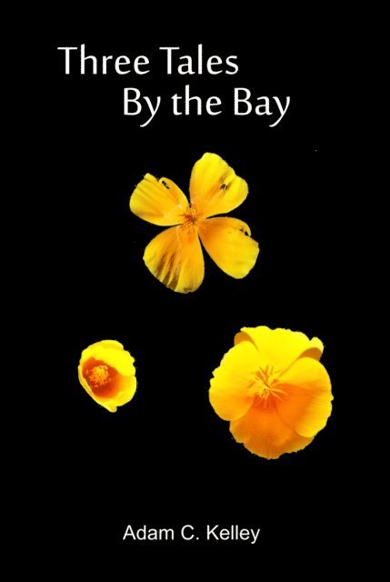 Adam C. Kelley - Three Tales By the Bay, E-bok