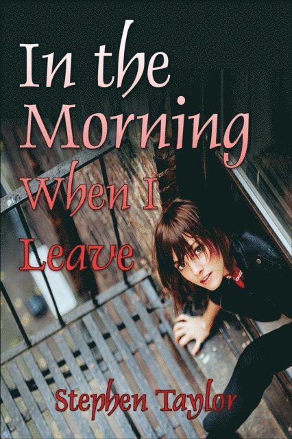 Stephen Taylor - In The Morning When I leave, E-bok