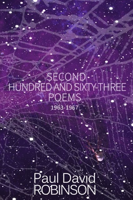 Paul David Robinson - Second Hundred and Sixty-three Poems, E-bok